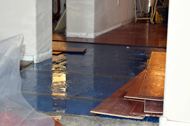 Professional Basement Water Removal technician working in Bradford, NH