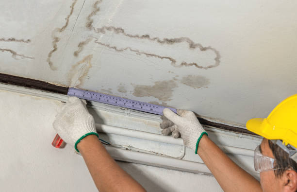 Reliable Basement Water Removal contractor in Bradford, NH by Water Damage Irwin